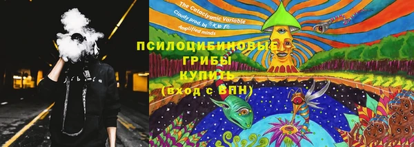 ECSTASY Нязепетровск