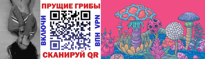 сайты даркнета наркотические препараты  Нижняя Тура  Галлюциногенные грибы Magic Shrooms  OMG вход 